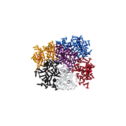 Universal Bolt Kit (30 Pcs)